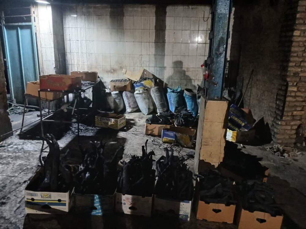 کشف و ضبط محموله ذغال گونه نادر، کمیاب و ممنوع القطع تاغ در شهرستان گنبدکاووس