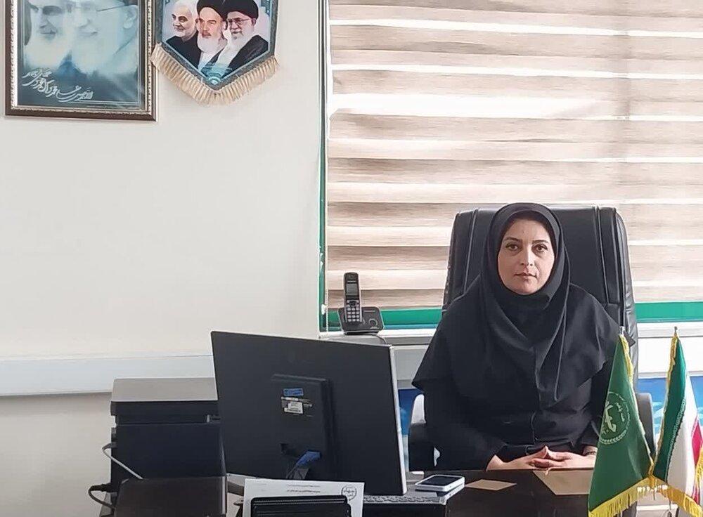 8 میلیارد ریال تسهیلات برای جهش مشاغل خانگی در نور