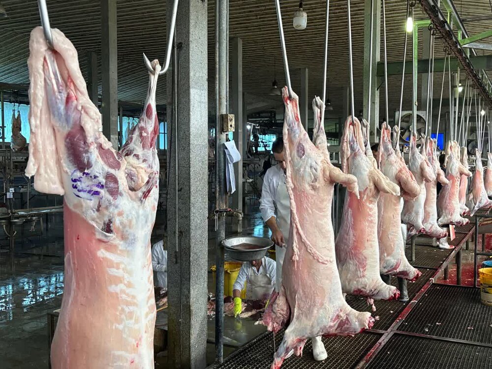 عرضه بیش از 191 هزار تن گوشت مرغ و 11 هزار تن گوشت قرمز به بازار