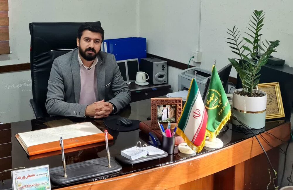 سرپرست مدیریت جهاد کشاورزی: توزیع اضطراری نهاده‌های دامی در مناطق برف‌گیر سوادکوه