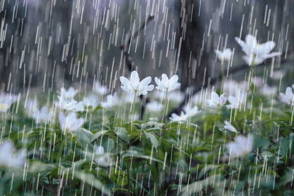 هشدار سطح نارنجی هواشناسی برای گیلان