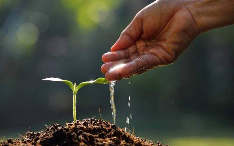 ثبت بزرگداشت «روز جهانی خاک » سال 2022 توسط پژوهشگر گلستانی