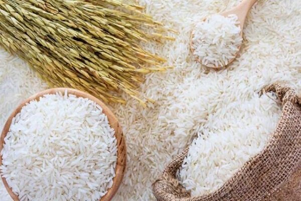 برنج در شالیکوبی ها دپو شده است