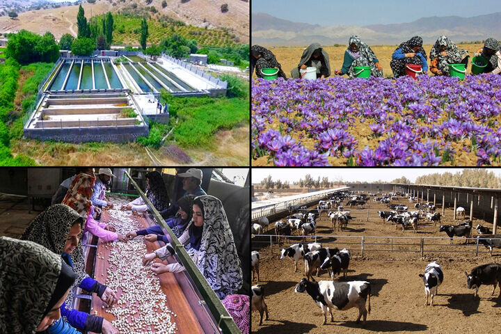 تخصیص 1000 میلیارد تومان اعتبار اشتغال روستایی در مازندران
