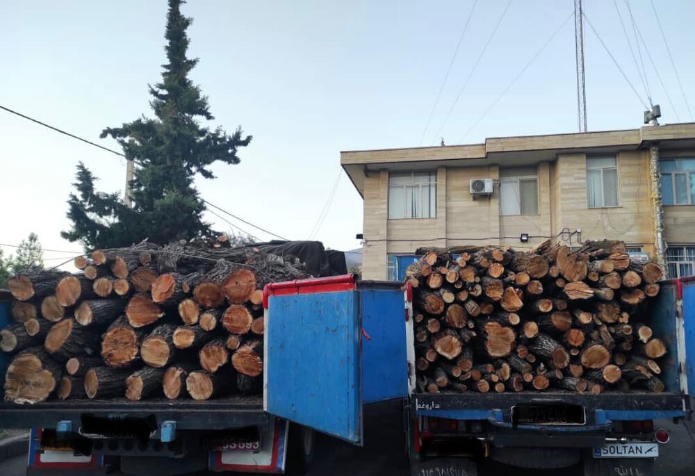 کشف و ضبط 11 تُن چوب جنگلی قاچاق در رودبار