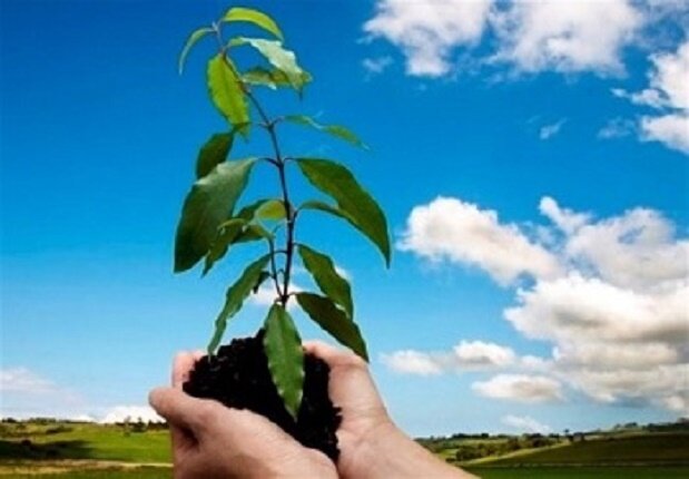 2000 واحد مسکونی برای مددجویان بهزیستی گلستان ساخته می شود