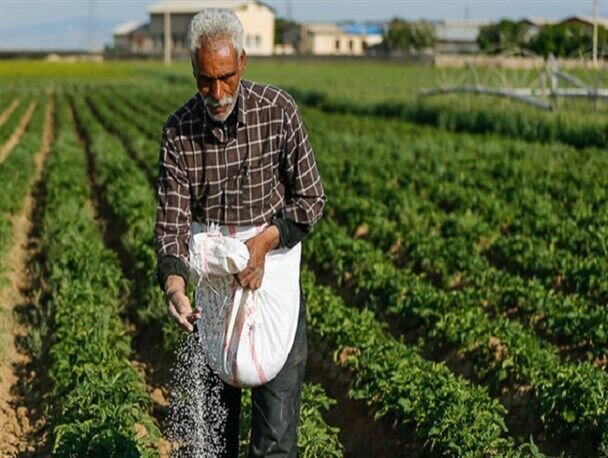 39 تن کود برای کشت پاییزه بین کشاورزان گلستانی توزیع شد