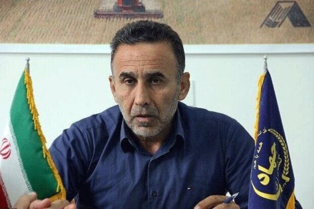 1600 هکتار از اراضی گلستان زیر کشت سیب زمینی رفت