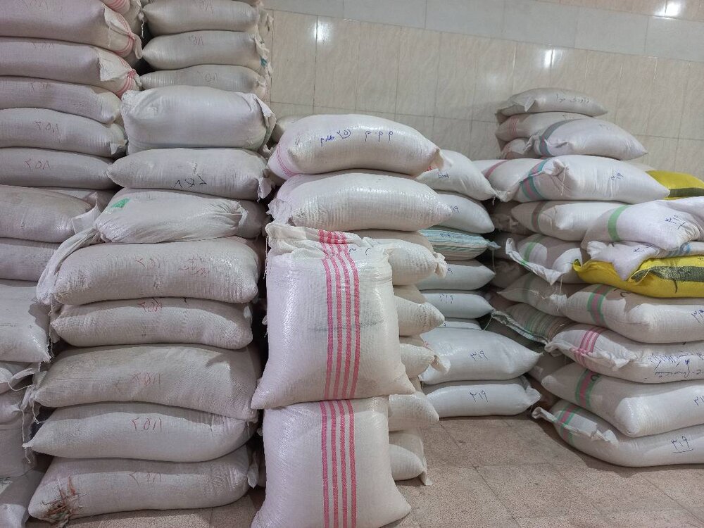 خرید توافقی 300 تُن برنج پرمحصول در مازندران