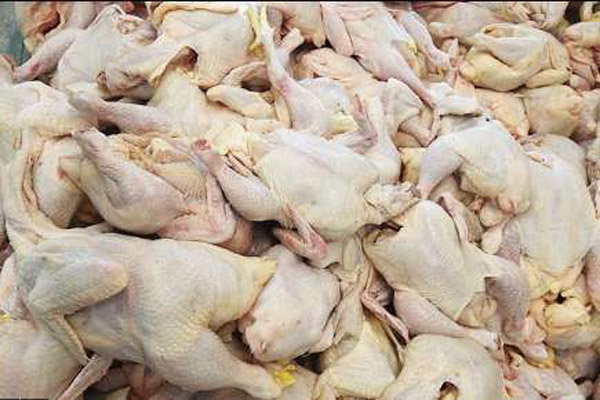 توزیع گوشت مرغ بین بیش از 37 هزار خانوار کم برخوردار گیلانی