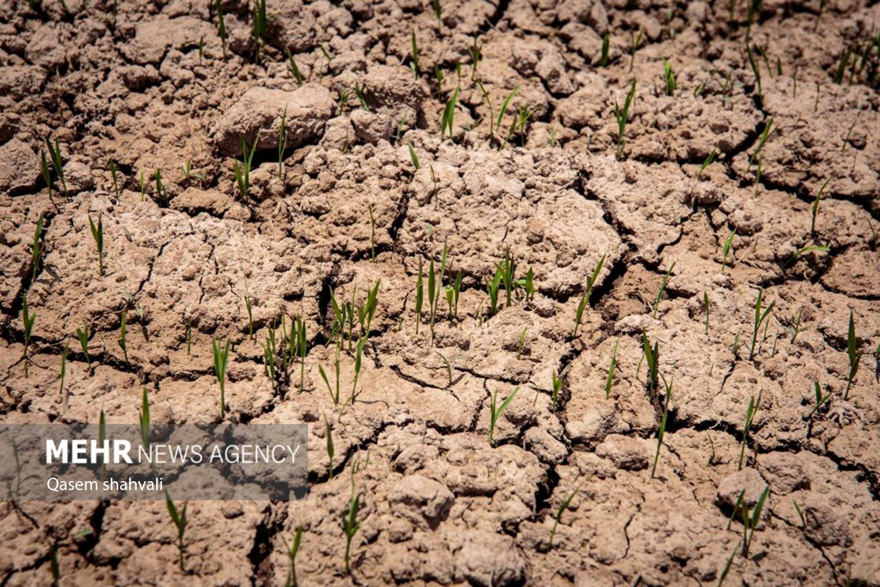 213 روستای مازندران با تنش آبی روبرو هستند