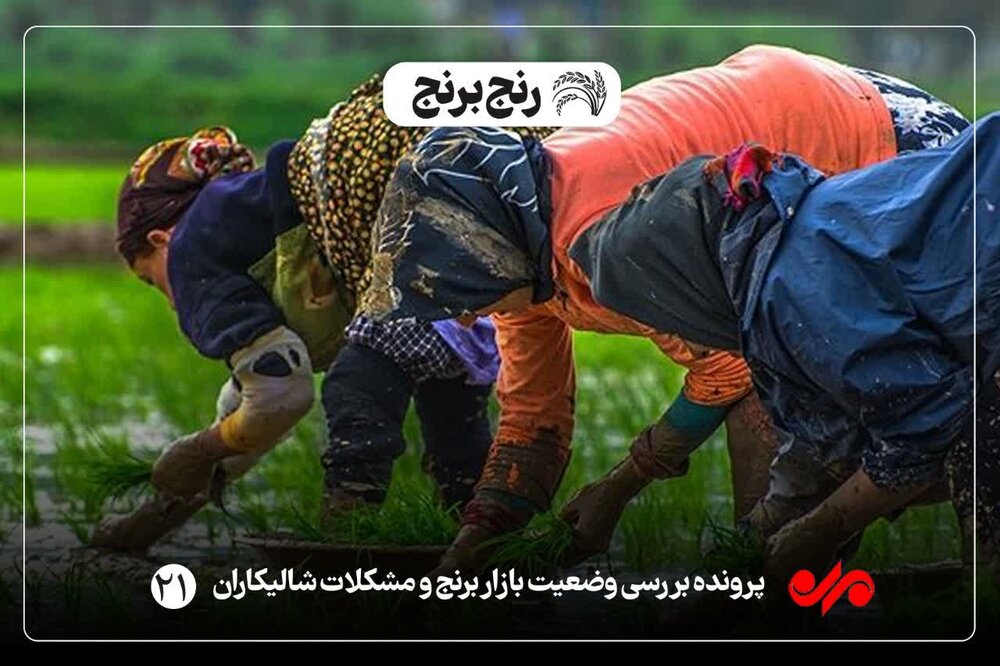 افزایش تصاعدی آب بهای کشاورزی/ منطقی برای محاسبه وجود ندارد