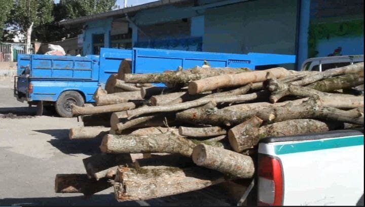 عاملان قاچاق 3.5 چوب جنگلی توسط پلیس دستگیر شدند