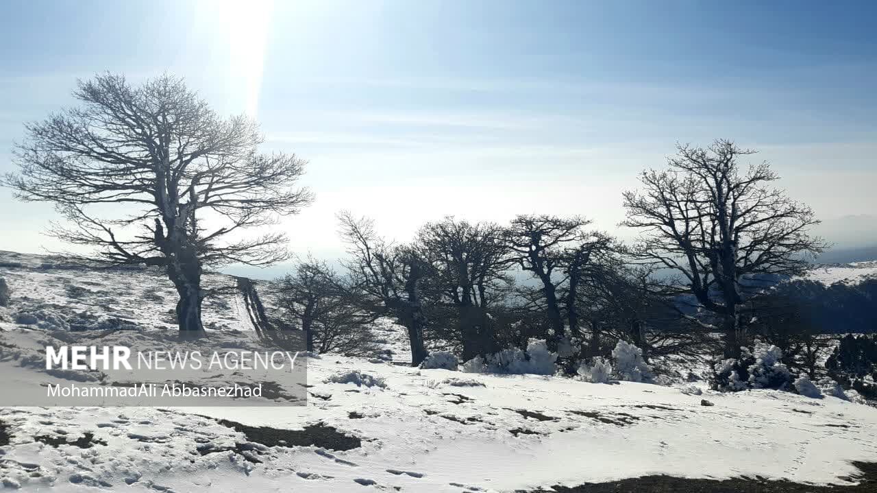 پوشش برف در گلستان به 320 هزار هکتار رسید