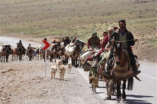 جامعه عشایری در تولید و اقتصاد گلستان بسیار مؤثر هستند