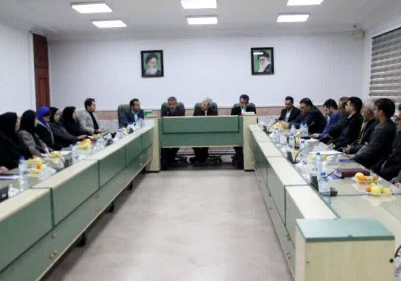 کسب سالانه 500 مدال ورزشی/ مازندران قطب تنیس است