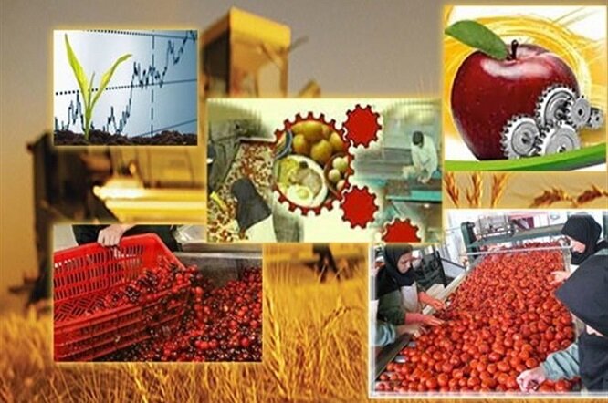 مازندران به سرمایه گذاری در حوزه صنایع تبدیلی و تکمیلی نیاز دارد