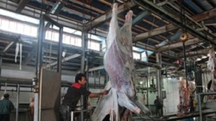 فعالیت 9 کشتارگاه صنعتی و سنتی دام در گلستان