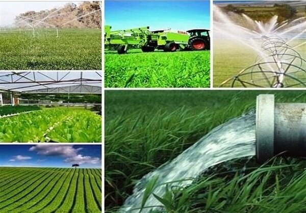 دلارها در راه مازندران/ خارجی ها برای دریافت جواز به صف شدند