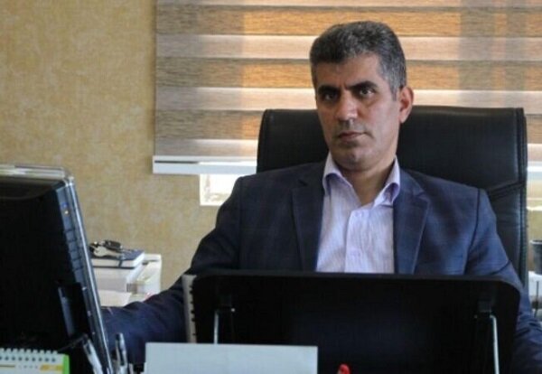 هوشمند سازی توزیع مرغ منجر به حذف دلالان می‌شود