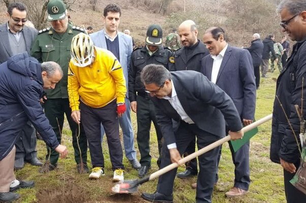 کاشت 60 اصله نهال به مناسبت روز درختکاری در آستارا