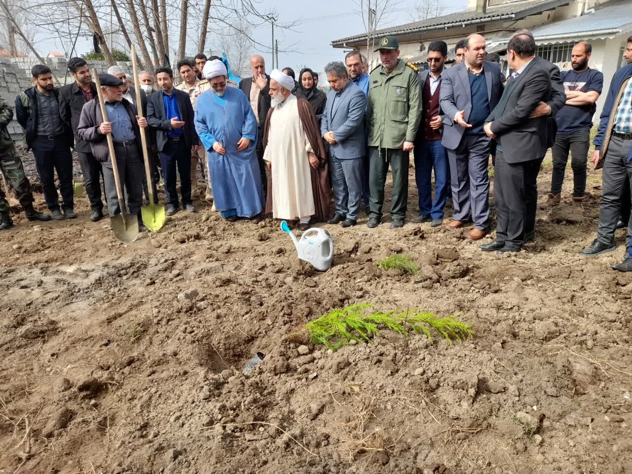 کاشت 50 هزار اصله نهال توسط اوقاف گیلان