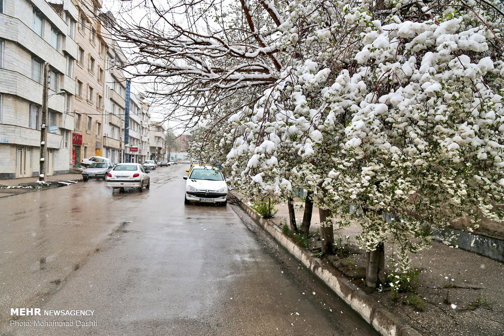 استقبال از شکوفه های بهاری با برف و باران/ جو گلستان ناپایدار است