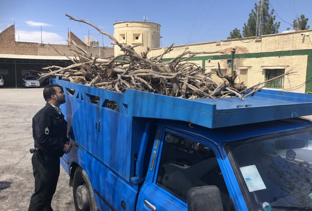 کشف بیش از 9 تن چوب قاچاق در آزادشهر