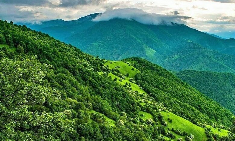 33 فقره پرونده تجاوز به عرصه های جنگلی در گلستان تشکیل شد
