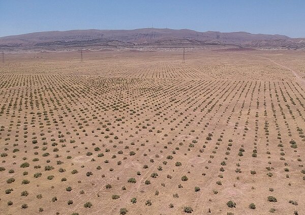 سطح اکوسیستم های بحرانی به 14 میلیون هکتار رسید