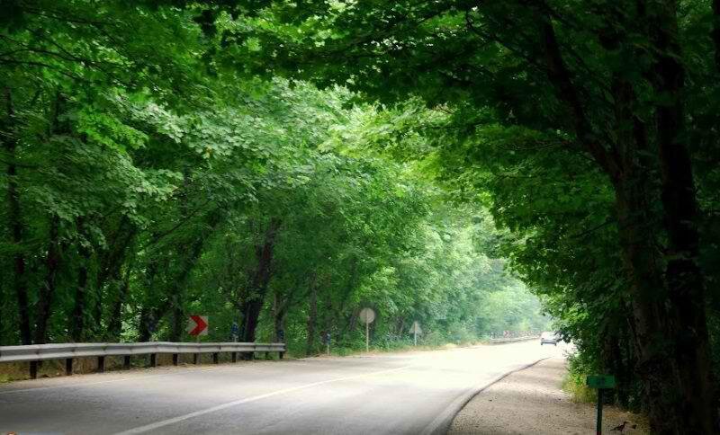 سحر طبیعت در پارک ملی گلستان