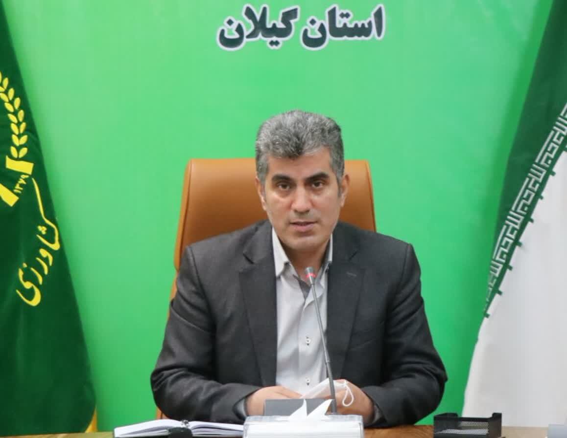 اجرای 193 طرح مشاغل خانگی در بخش کشاورزی گیلان