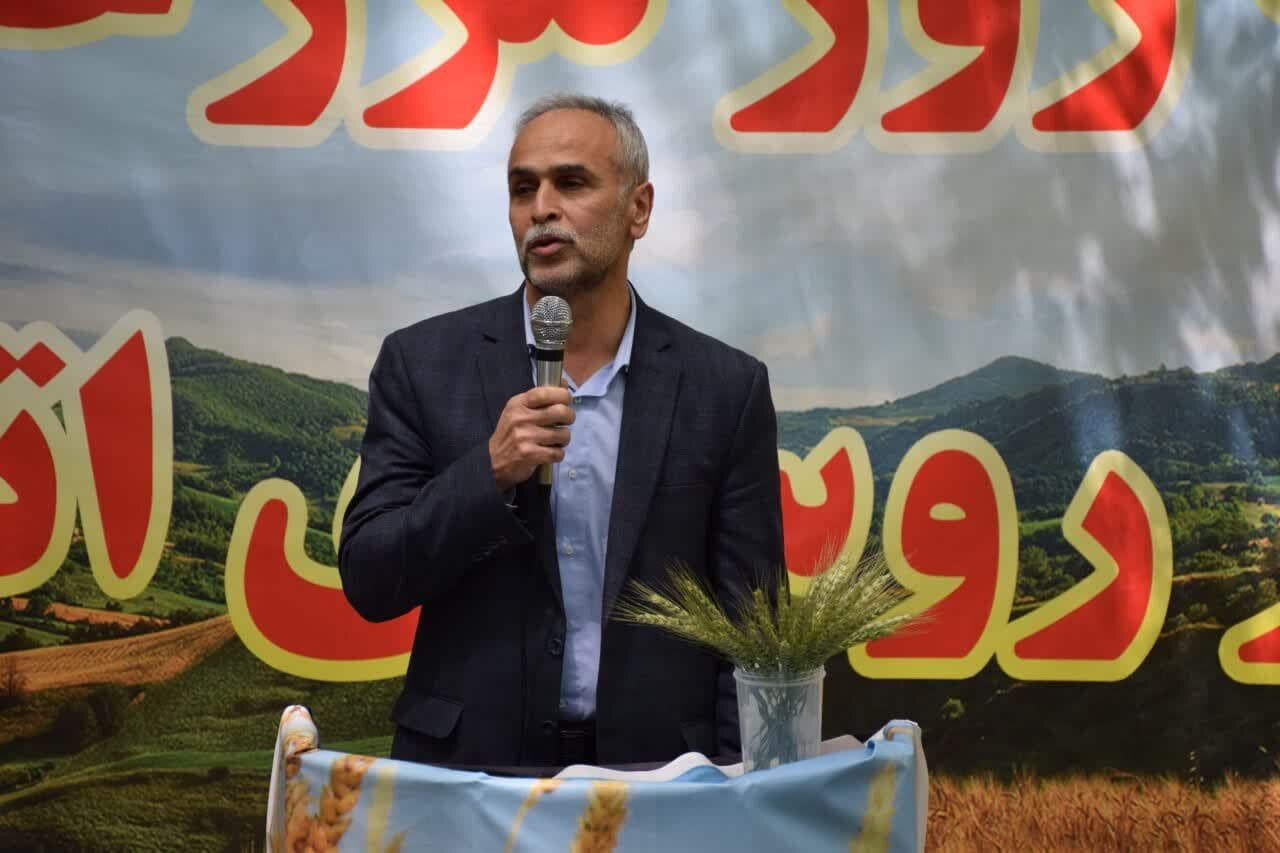 مراسم روز مزرعه گندم دیم در سوادکوه برگزار شد