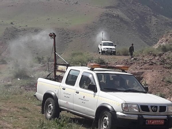 ‍ مبارزه با ملخ مراکشی در 310 هکتار از اراضی شهرستان آزادشهر