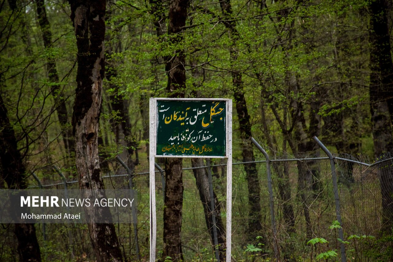 النگدره در چنگ پارادوکس فرهنگ و طبیعت/ هرکسی فریاد خودش را می زند
