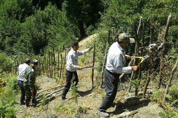 25 هزار خیر از خانوارهای نیازمند در ساری حمایت می کنند
