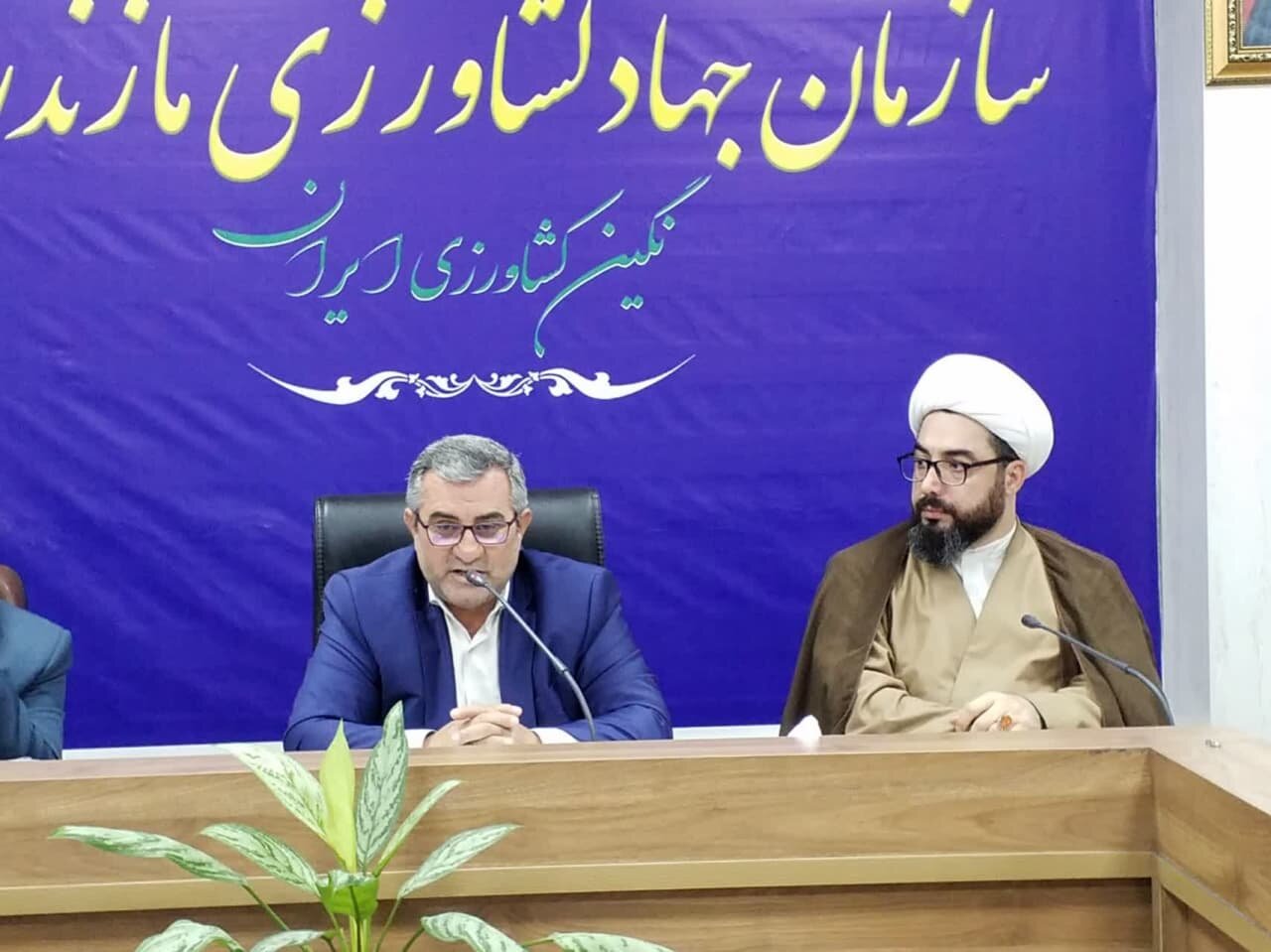 تولیدات کشاورزی مازندران از 8 میلیون تن فراتر رفت