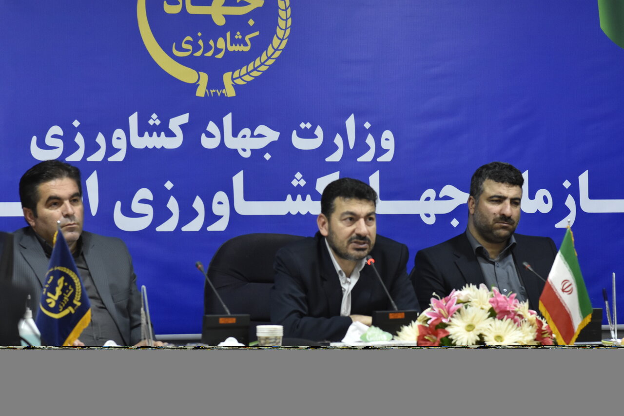 357 هزار هکتار از اراضی گلستان به کشت گندم اختصاص یافت