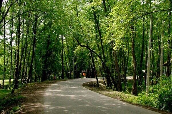 70 منطقه نمونه گردشگری در مازندران فعال است