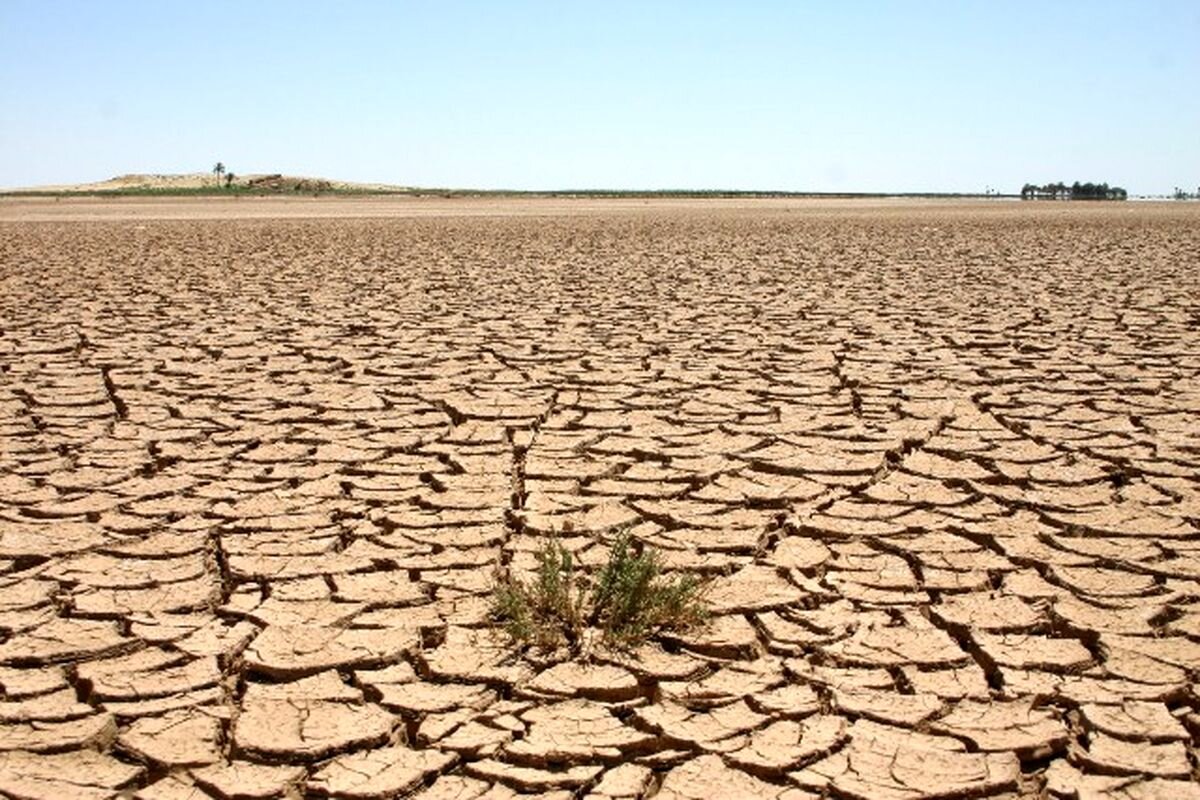 306 هزار هکتار از مراتع استان در معرض بیابانی شدن قرار دارد