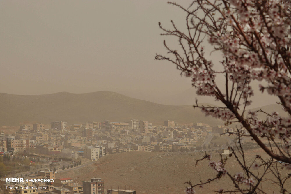 برگزاری نخستین جشنواره «فیلم گوهرشاد» به میزبانی گلستان