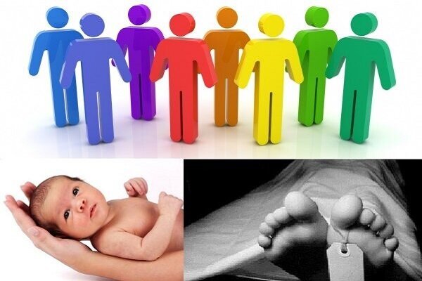 افزایش 11.4 درصدی ولادت در آستارا