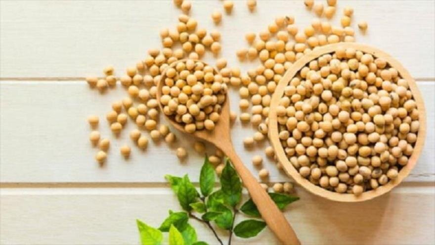 افزایش 1.5 برابری بذر تامین شده سویا در گلستان