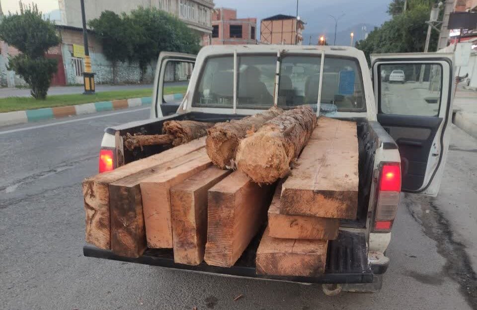 کشف و ضبط چوب با قاطر در جنگل سرکلاته