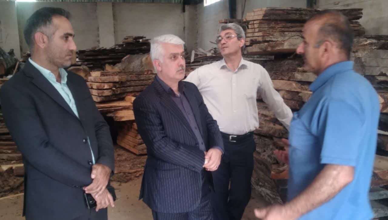 پرداخت تسهیلات به 4800 طرح اقتصادی روستایی در مازندران