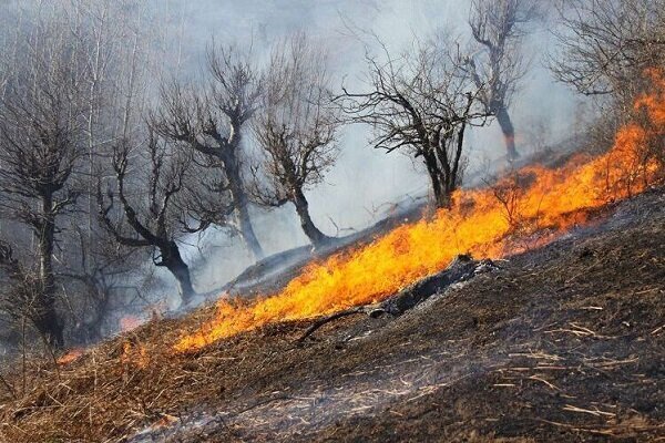 آتش سوزی در پناهگاه میانکاله مهار شد
