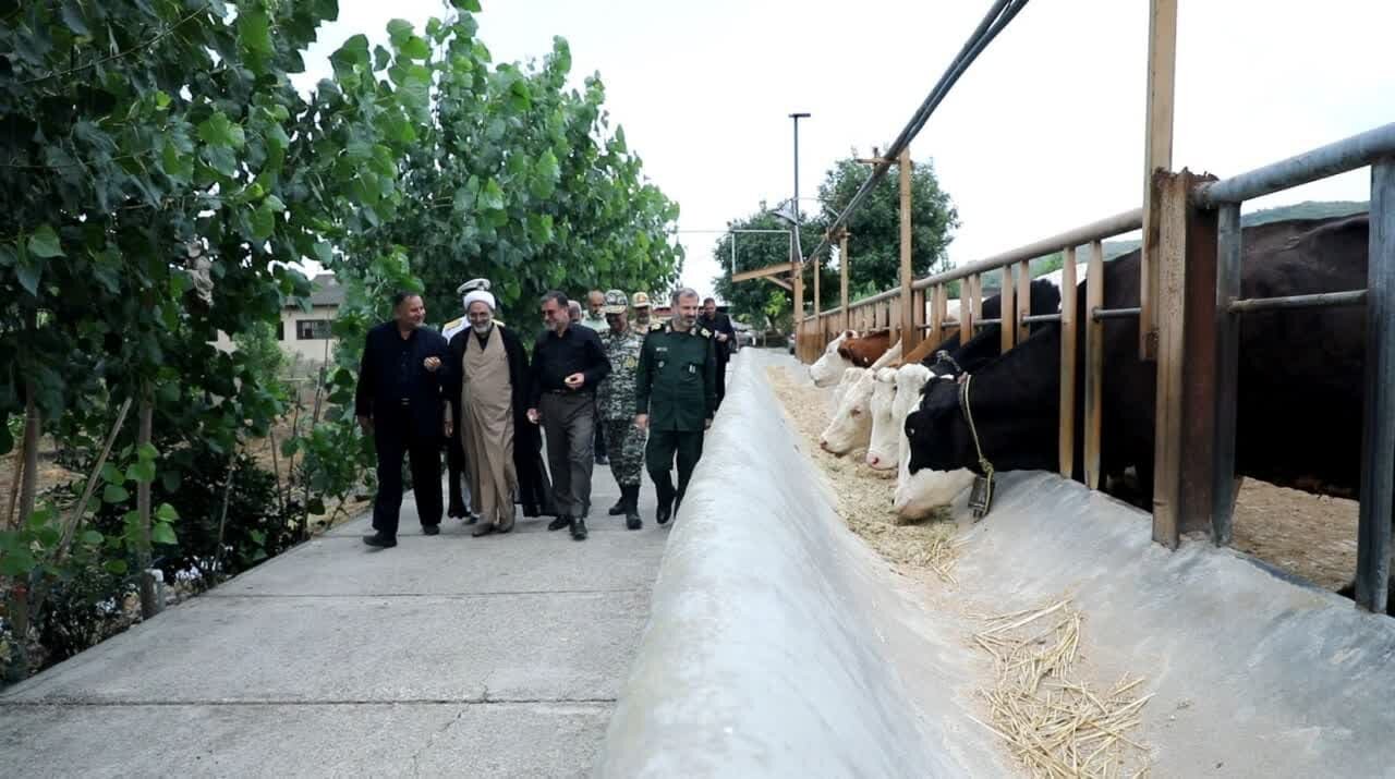 150 روستای مازندران تحت پوشش دهکده اقتصاد مقاومتی هستند