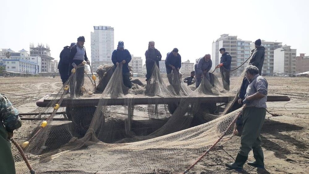 ارزش اقتصادی 9000 میلیارد تومانی محصولات شیلاتی مازندران