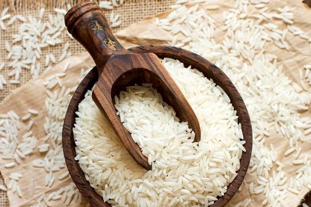 فعالیت 28 مرکز خرید ارقام پرمحصول برنج گیلان
