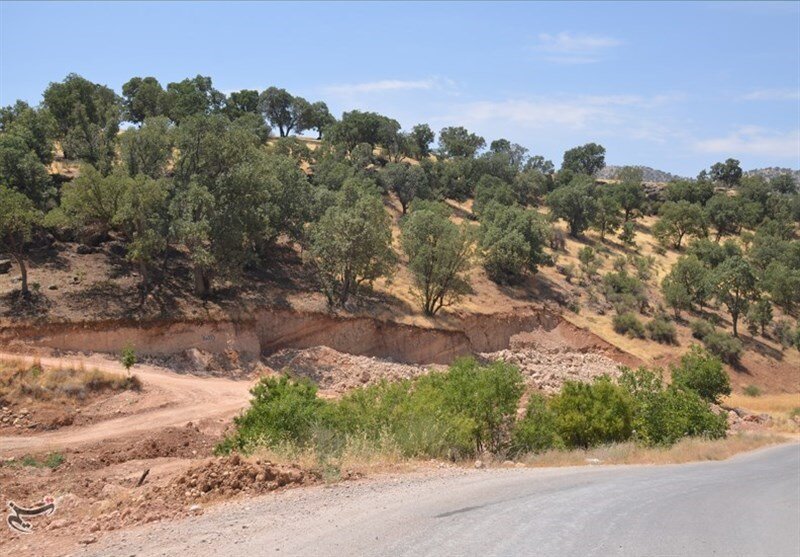 کشف بزرگترین زمیخواری حوزه منابع طبیعی در نوشهر